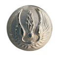 Lot de 20 boutons Gendarmerie de l'Air