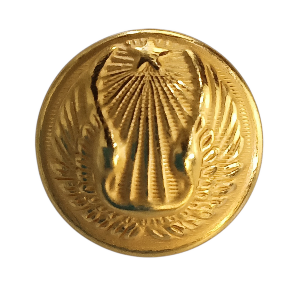 Lot de 20 boutons Armée de l'Air